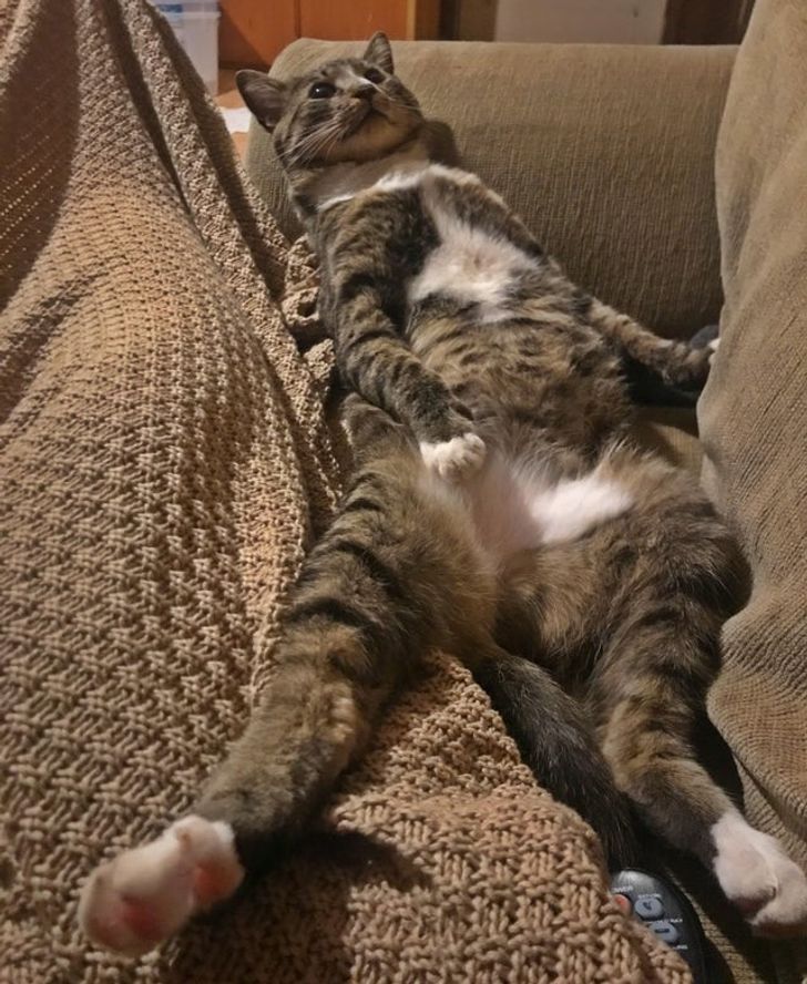 348455552f8ce0f0abf58399df