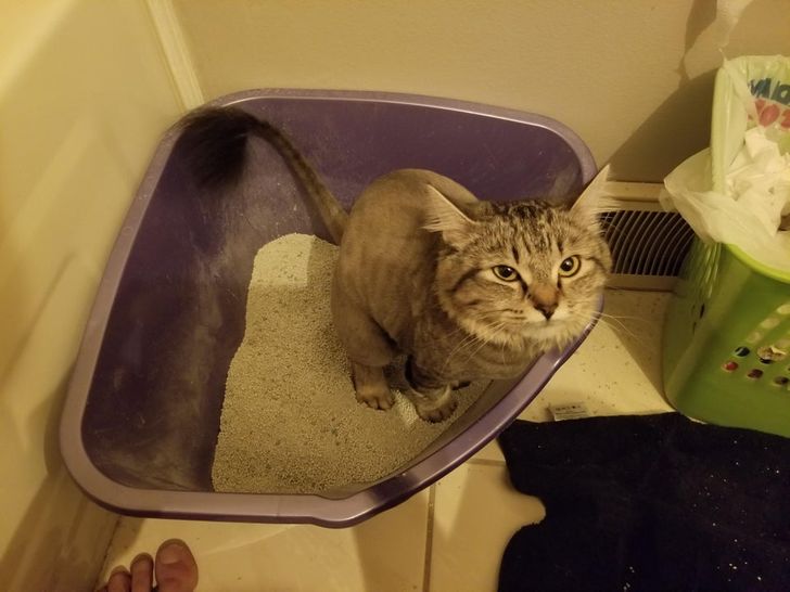 3496e85837b0f403a246167fa2