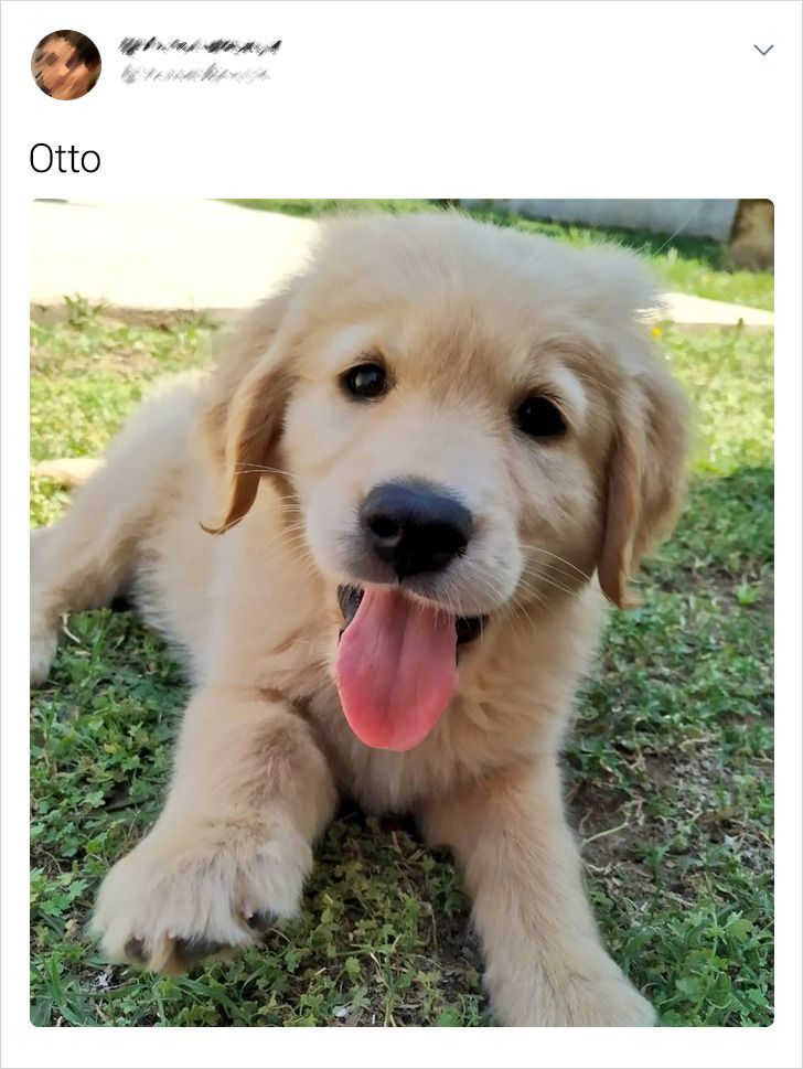 3499f658c7992929572a09d6b8