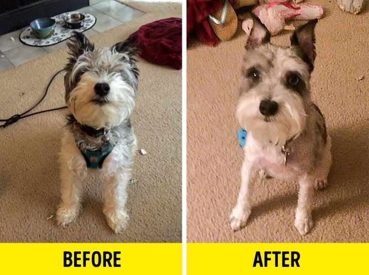 34a3eb57e3ba44f52535acbbca