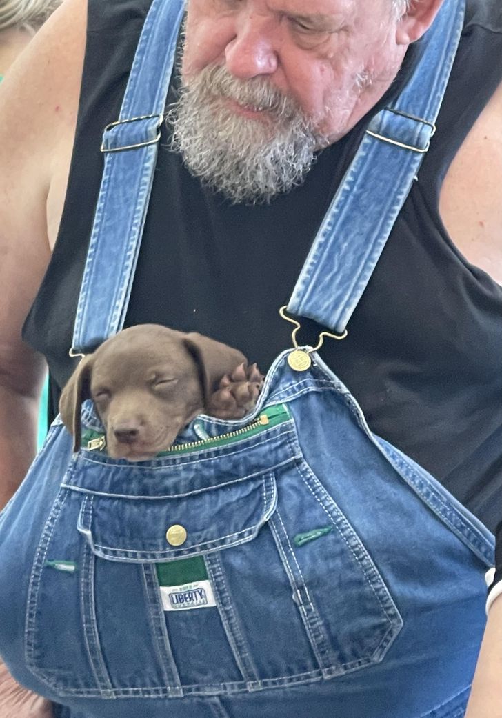 34a56e5d379d1c2f8d544b82f7