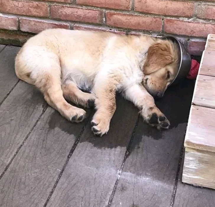 34a5be5fd296cfdbdd87e20e1a