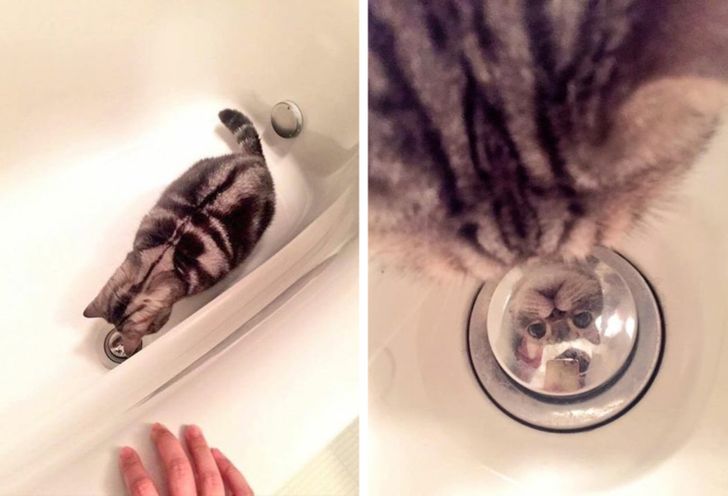 34aa735bc9b756af9e23b9a43e