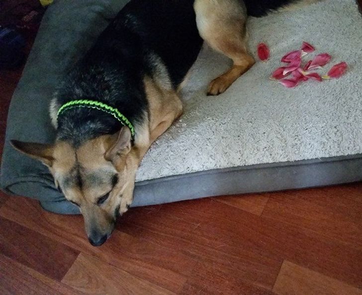 34ac4d587bb54740dd12e95742