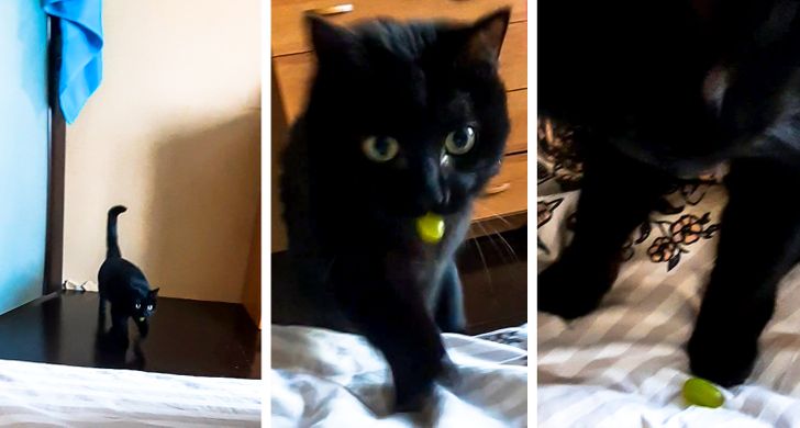 34acbb57c5b624397f2c42689e