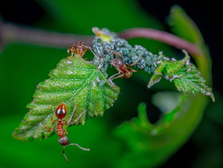 34ad10578795eccabc1416078b