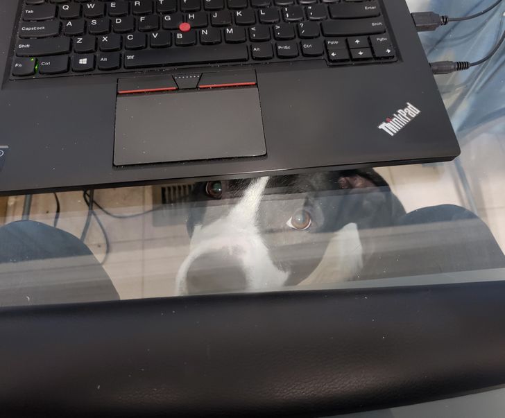 34b7e359af8332cf5cbc0ff3d4