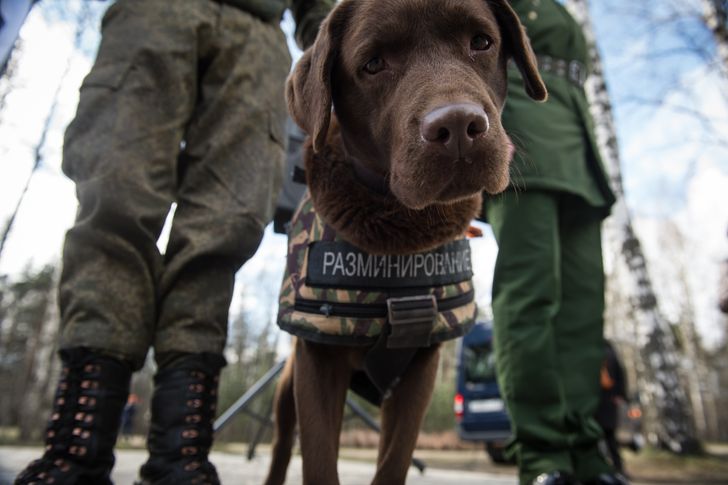 34ba235de58d0ef4900786636e