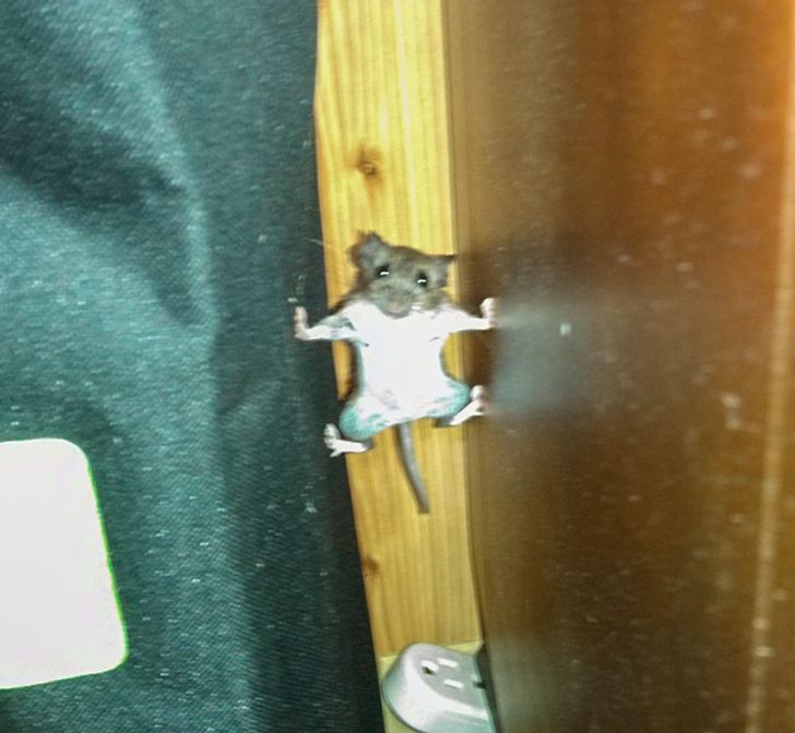 34bcc5576893b2130e63e3f3c0