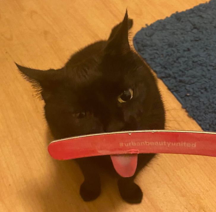 34c1fc57c78c6702744f74df7c