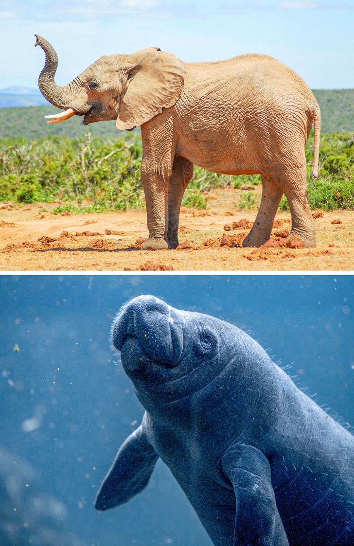 34c2b459e28849e40b991e41e6