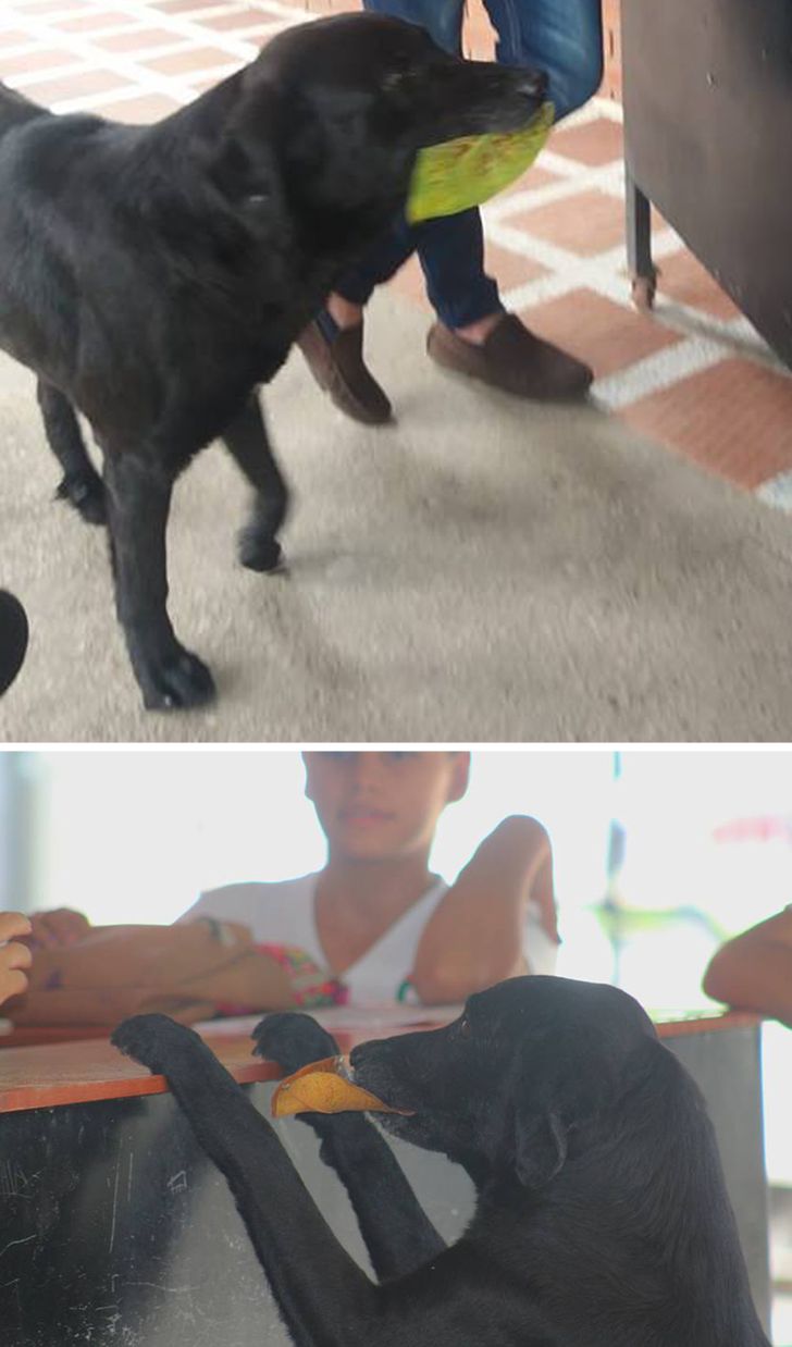 34c7de50948a74e1a67d2d124a