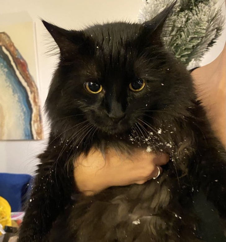 34ce67513e87ea1f9559f5ef5a 34ce67513e87ea1f9559f5ef5a