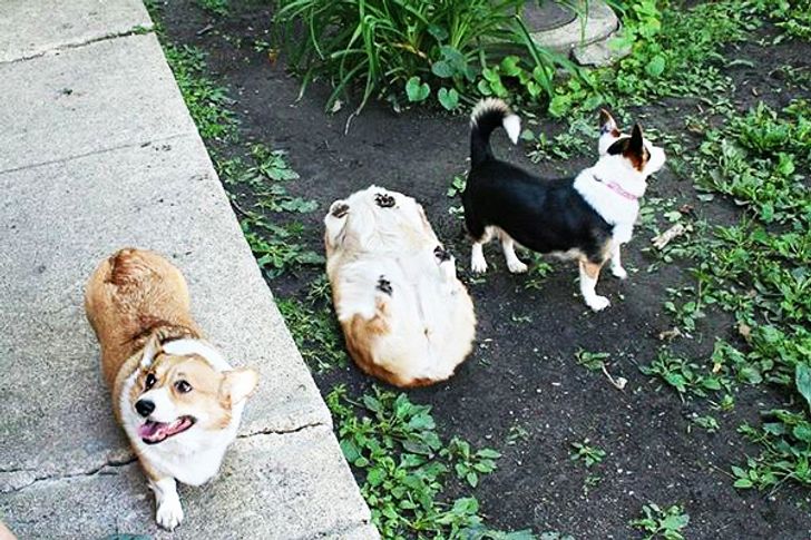 34d4235e53a9c3327a06284f95