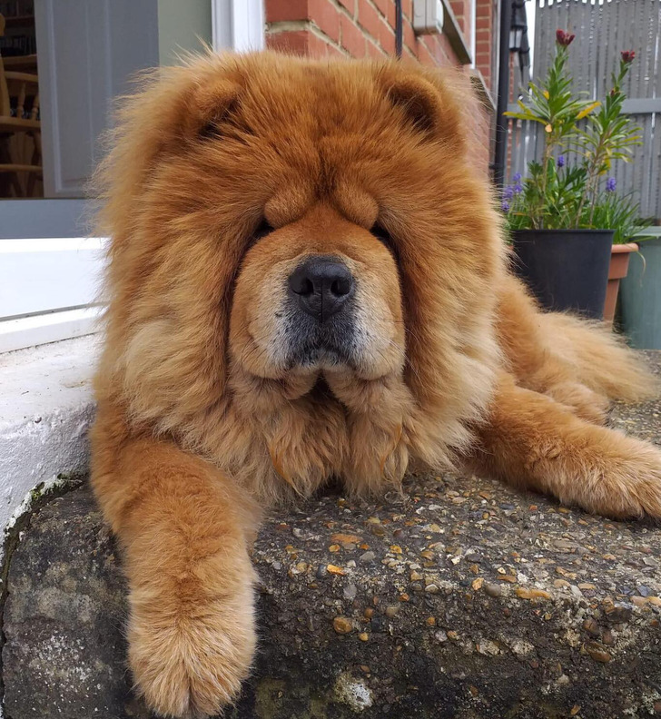 34e720542ca1e3a34e7158a6d4 34e720542ca1e3a34e7158a6d4