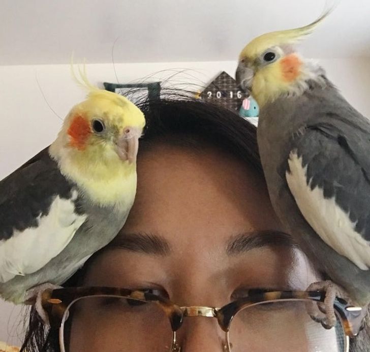 34ee7b52baa2a1b74987bfe0fc