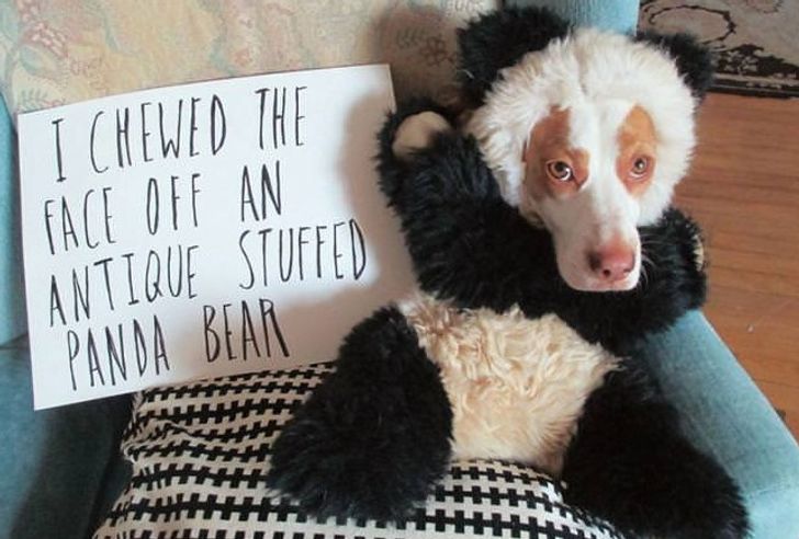 34fc795d889dcfa19b145ed69c