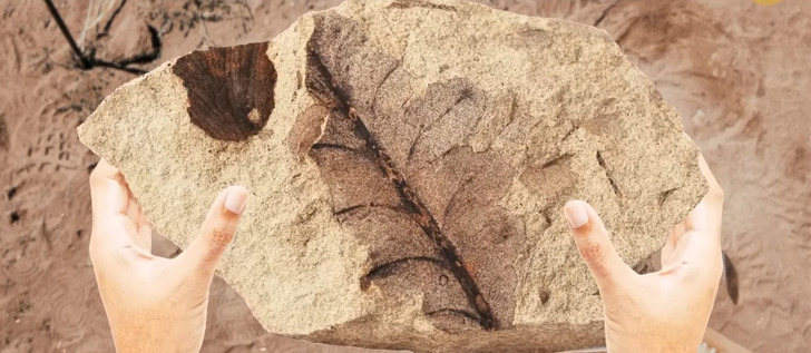 34ffdc538c8c05e6add48d1eed