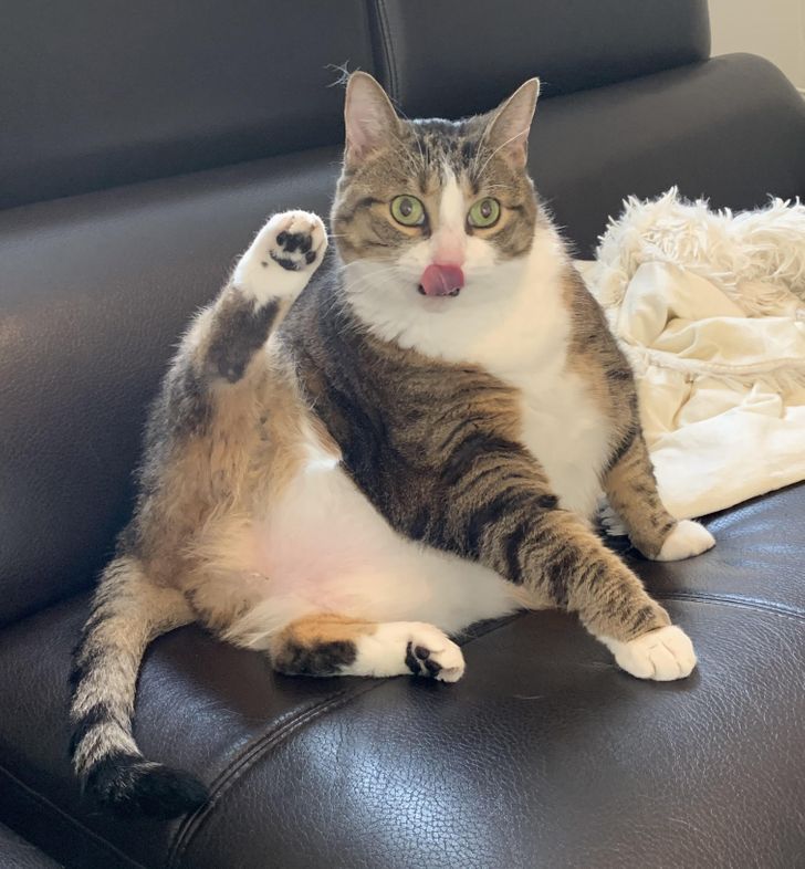 3506715daab6e62b28d238909c