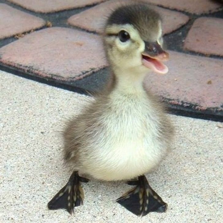 35074f55b1ab34d5c46af0aa0b