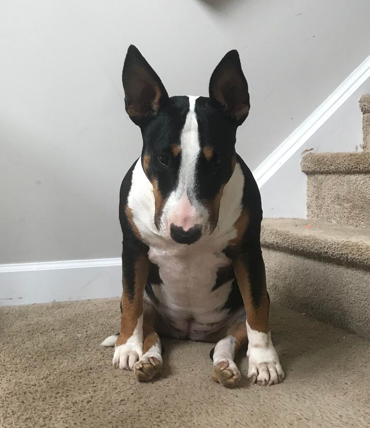 350b9c57d5846d31e8c44795ec