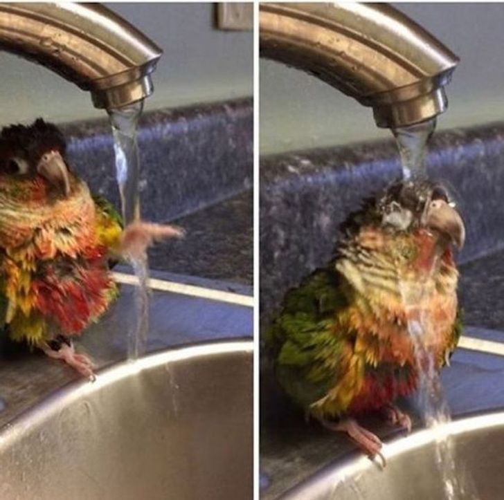 350e0555578c19a6ae9a463015 350e0555578c19a6ae9a463015