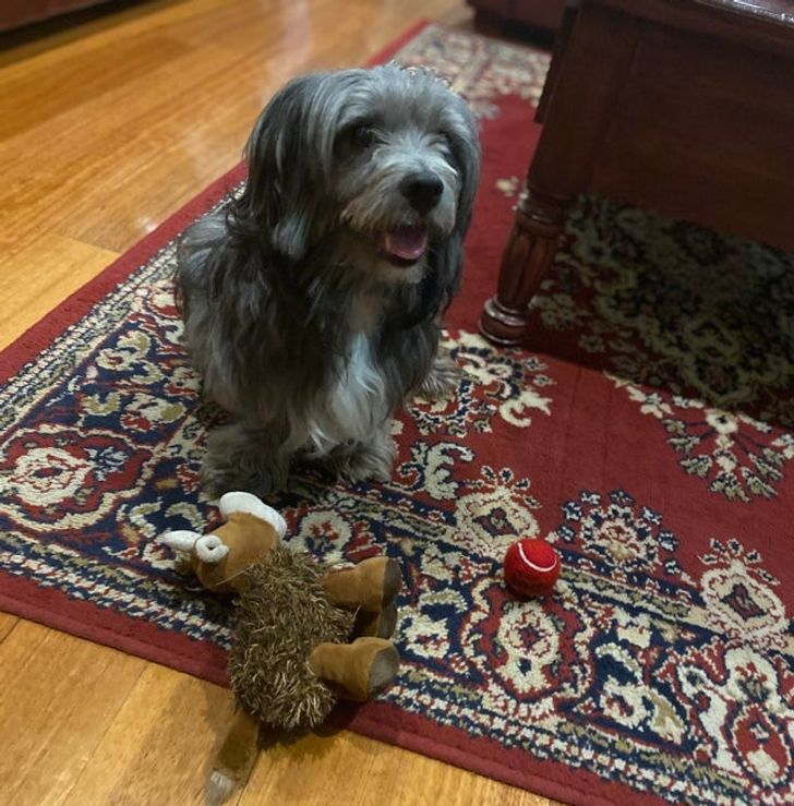 35102851d1850c9fa05ba6aa14