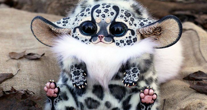 3510d85249af394790a4da6758