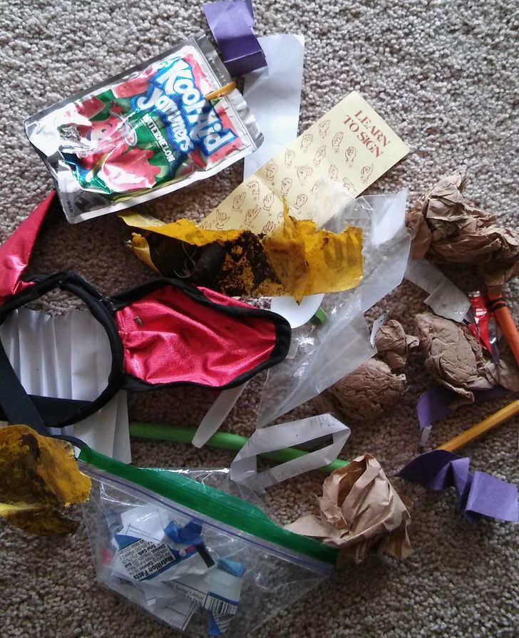 351e615a73a7c4133889ea57cc