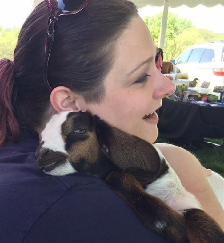 351eb355e8ad11d66913de7365