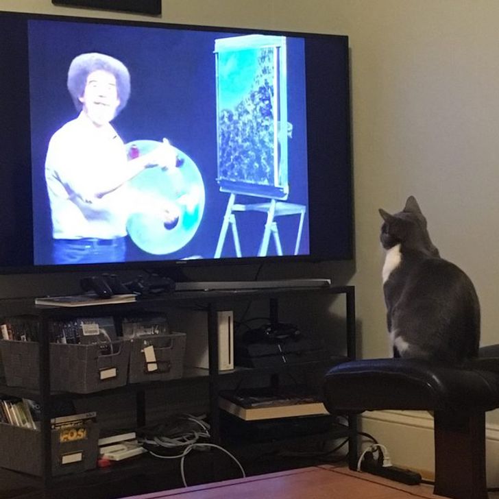 3522fe5bb38ba7396be1392e1b