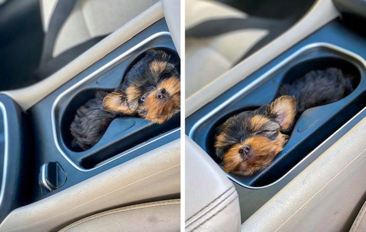 3523a25063b372a4ed06a7f0d9