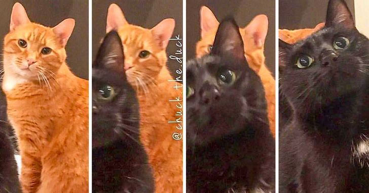 3526fb5923ae8435e9254b25bc