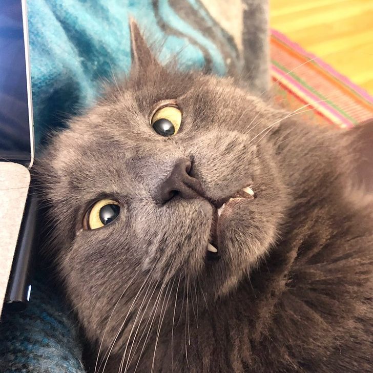 35286a5d6b975bb2633d04ed65