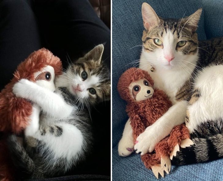 3528ea531bb0543f8932d9dd95 3528ea531bb0543f8932d9dd95