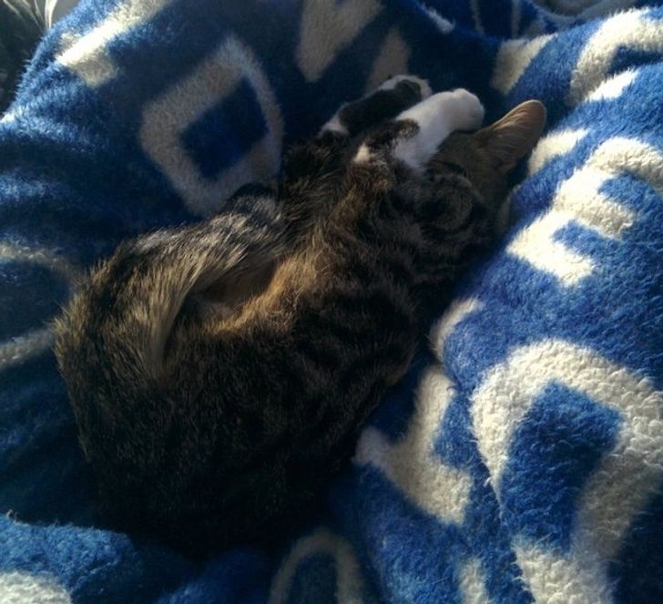 352b44558a8262bfd99bf30b40