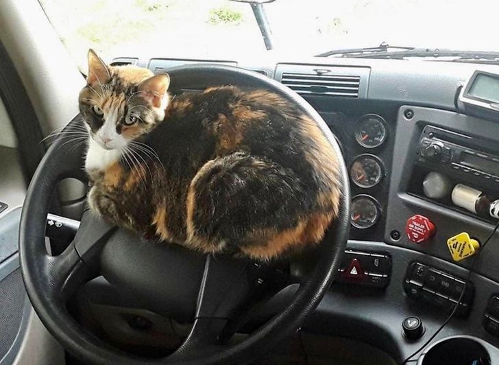 35313f50299e153653bd37adce