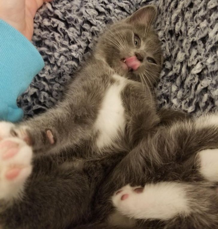 3533485af9bcf64e6e063d75f8