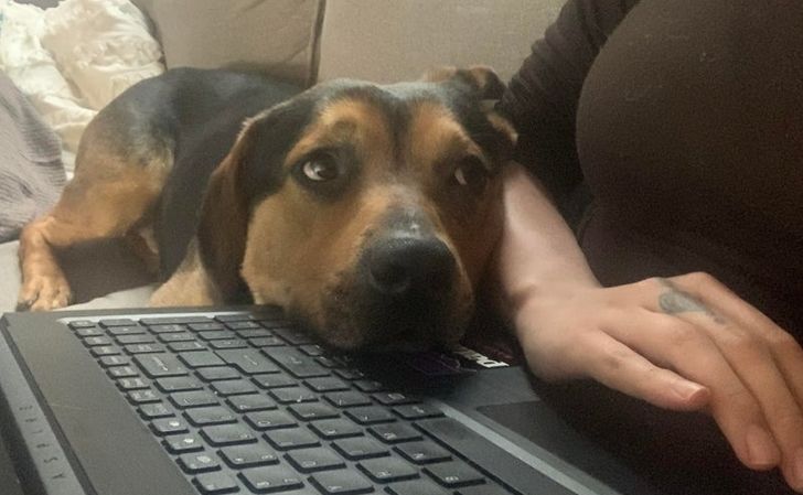 35365f5eedab828743c37d9a13