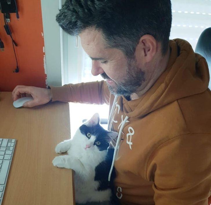 353c7a5b4d828ca9127cb2dbbe