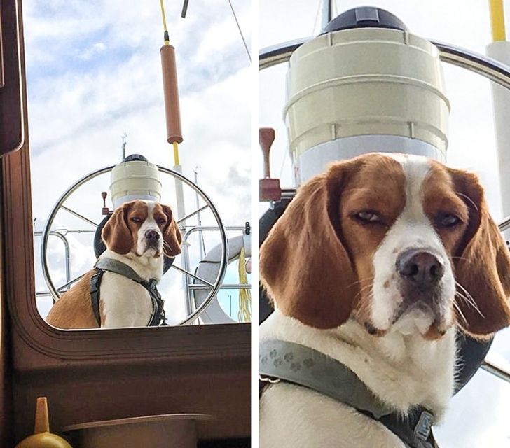 3541f05d3ab6cc717b2915b0db