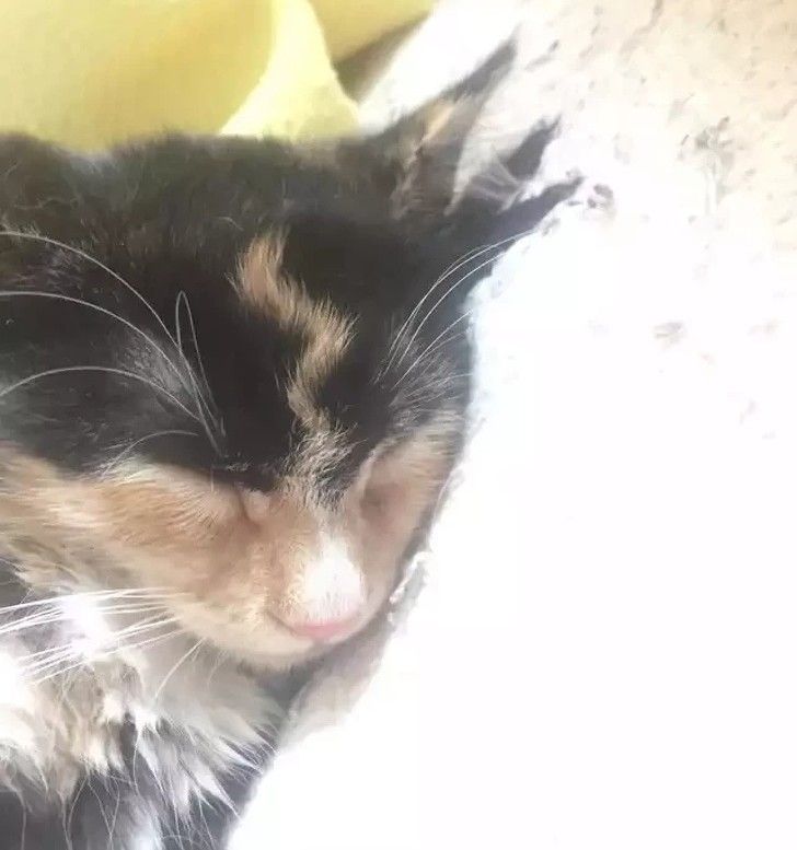 35475e5a29ad671e580fa2fda7