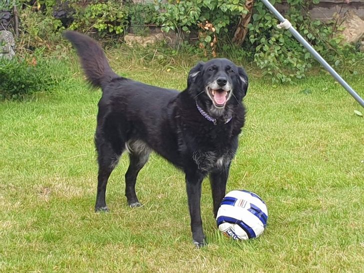 354f5a54e7aabc23586f8afb2a