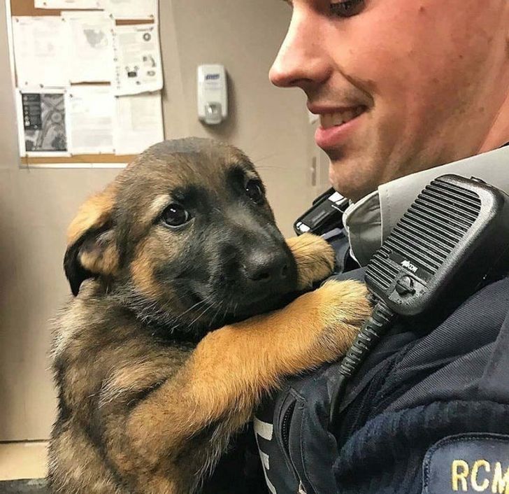 35537a5c8a84b1e4dc1a2b97cd