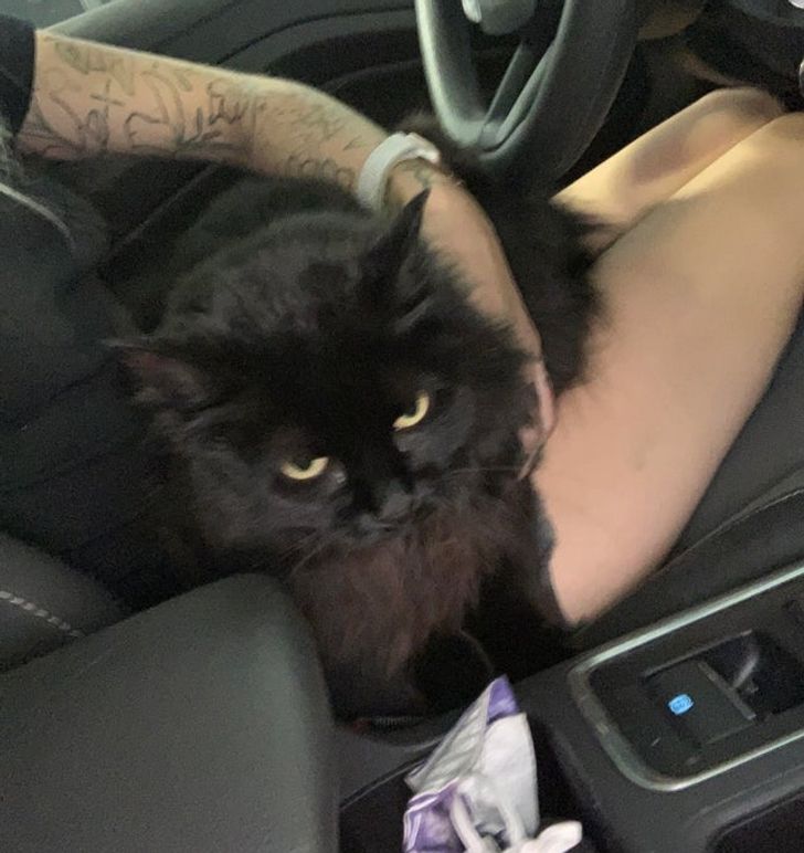 355c705f0d9b1ef7374b50c3df