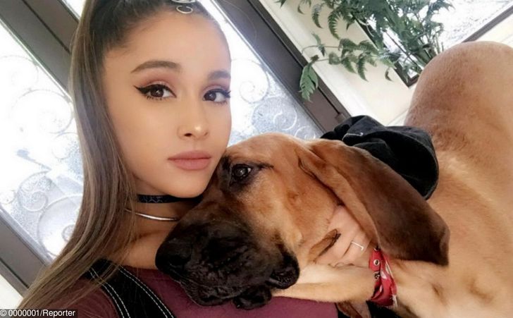 3563ef5e478c39d8b2a9215944