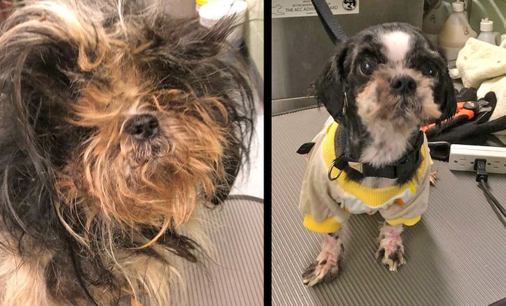 35640e52da934dd2fe9815cbdd