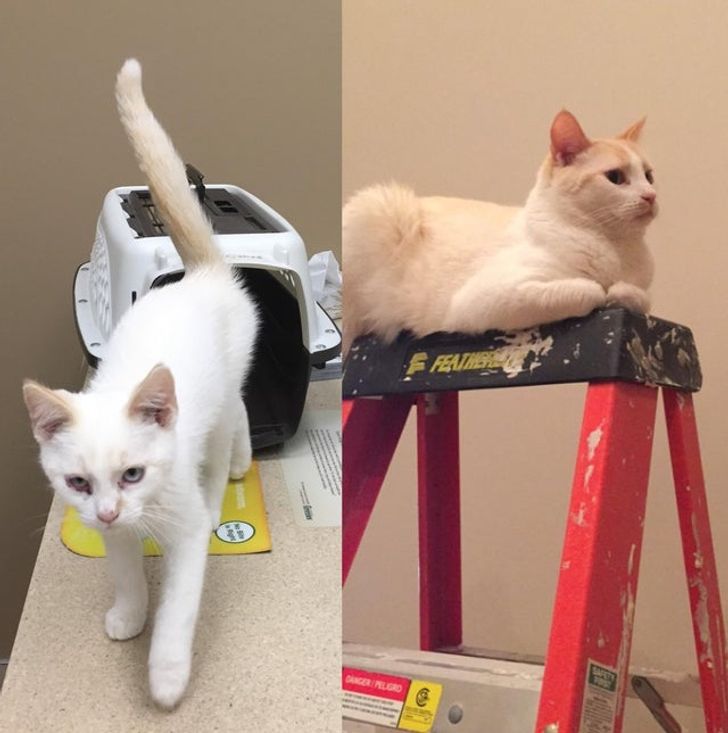 356453541a9915913a1776111f