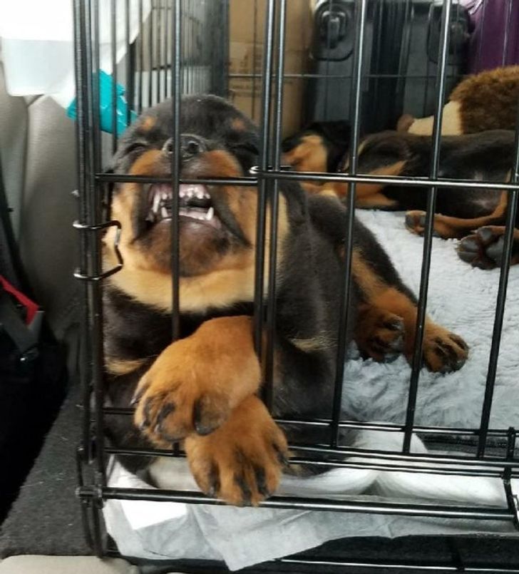 3566e95b2bab05b4bd71a9c7ce