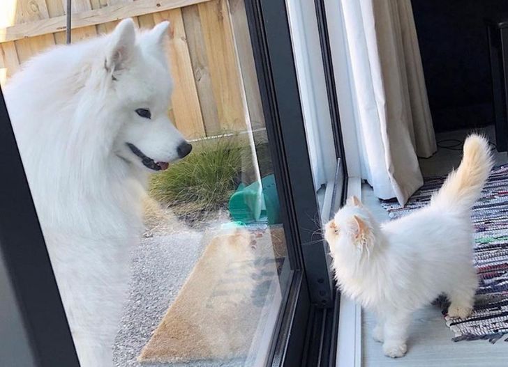 35673253a09bc83cfa364133e6